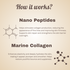 Sknaura Pro-Age Repair PM Cream 30gm